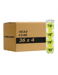 HEAD CS 36 BOX Cans of 4 balls (144 BALLS)