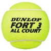 DUNLOP Fort All Courts Pelotas